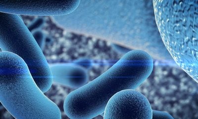 Raw Milk Recalled In Northern Ireland Following Contamination With Deadly E. Coli Strain